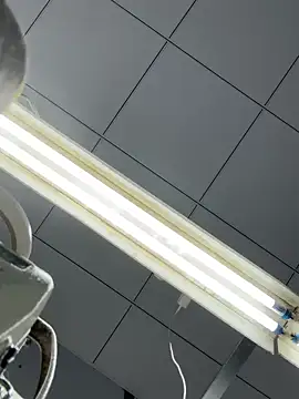 DHJM168 online show from 12/16/25, 01:21