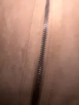 FroggyAnna online show from 11/01/25, 03:39