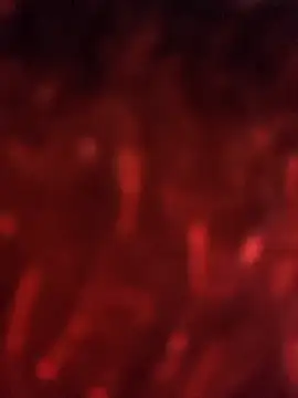 julieta evanns1 online show from 09/25/25, 11:27