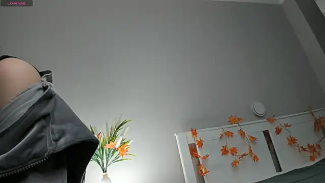 AuroraVice online show from 11/27/25, 06:03