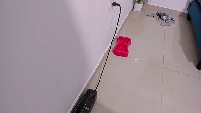 Rihanna hotx online show from 12/21/25, 03:30