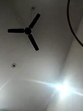 Appypie online show from 11/18/25, 05:44