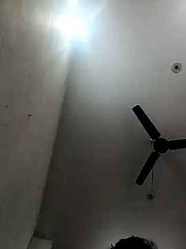 Appypie online show from 12/15/25, 05:35