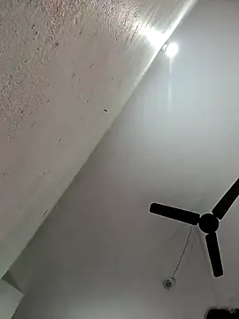 Appypie online show from 11/11/25, 05:46