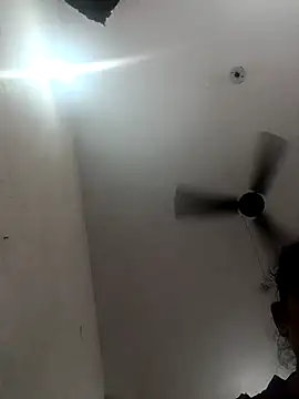 Appypie online show from 10/11/25, 06:36