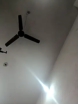 Appypie online show from 10/29/25, 06:01