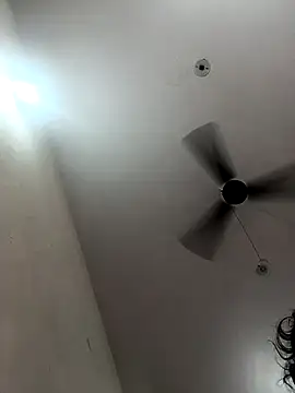 Appypie online show from 10/23/25, 07:18