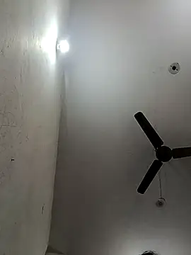 Appypie online show from 11/17/25, 06:39