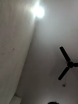 Appypie online show from 12/02/25, 05:42