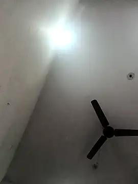 Appypie online show from 11/19/25, 06:35