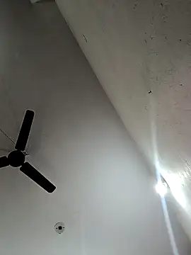 Appypie online show from 11/12/25, 06:39