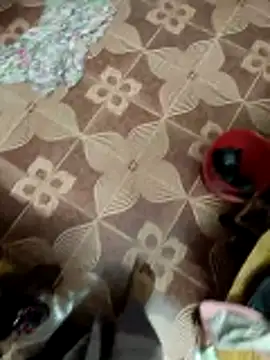 maddy3108 online show from 12/05/25, 06:01