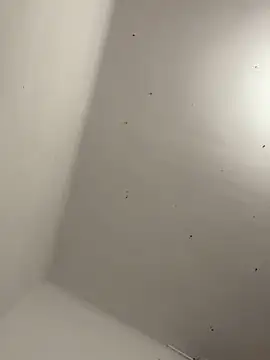 Snapshot of davidxxx099 chatting on 11/22/25, 10:30 davidxxx099 online show from 11/22/25, 10:30