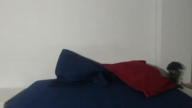 onixandghosty1 online show from 02/24/26, 07:04