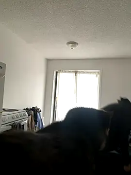 inked nekoo online show from 12/03/25, 03:33