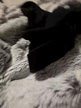 bigdicksklave online show from 10/31/25, 07:54