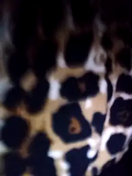 Thaohoa love online show from 02/22/26, 09:49