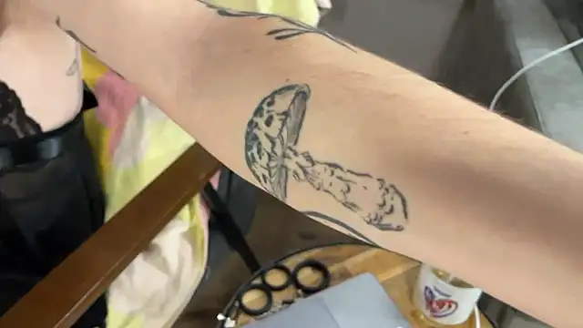 NoaTender online show from 01/09/26, 06:48