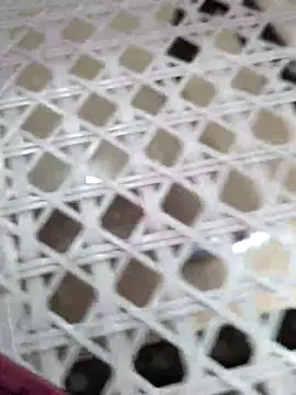 Alexa9k7 online show from 12/02/25, 07:15