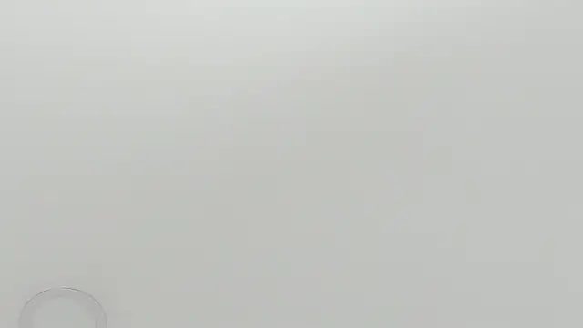 scarletross  online show from 02/26/26, 02:39