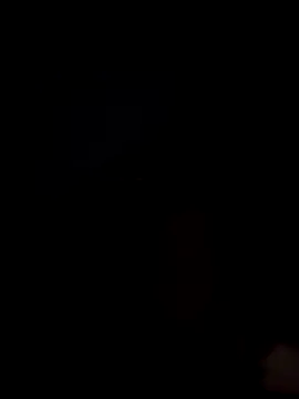 Danypeluche online show from 12/15/25, 08:42