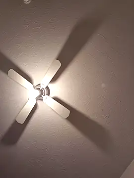 Danypeluche online show from 11/24/25, 08:31