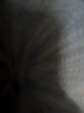 safadomoreno online show from 12/20/25, 04:37