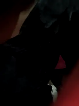 Antique-stickchart-couple online show from 11/11/25, 12:55