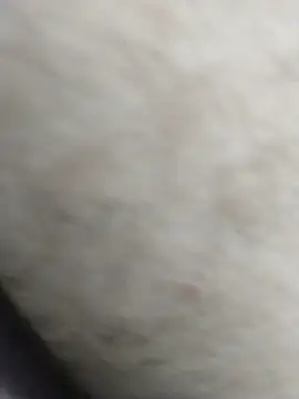 Yhnist34 online show from 09/18/25, 01:08