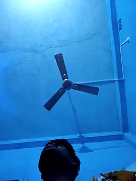 BlackCobraOwner online show from 11/17/25, 04:11