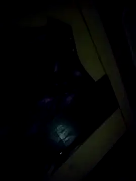 Snapshot of shadab1267 chatting on 10/30/25, 08:17 shadab1267 online show from 10/30/25, 08:17