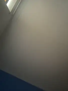 stevo170t online show from 11/18/25, 05:27