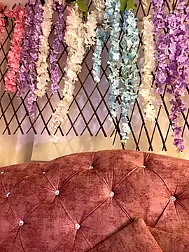 Tegui-sc online show from 11/13/25, 03:54