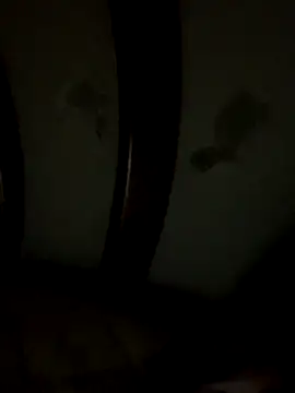 Snapshot of Bruno18cmmmmkk chatting on 12/19/25, 03:54 Bruno18cmmmmkk online show from 12/19/25, 03:54