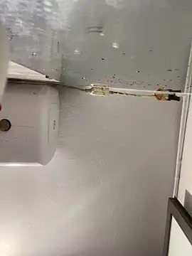 Pyy07 online show from 02/20/26, 11:56