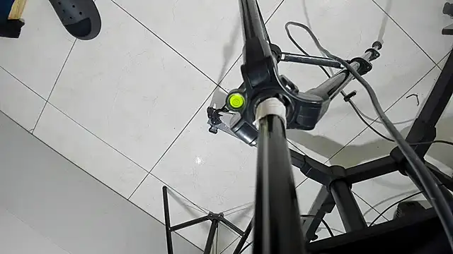 Alisha Evans Rs online show from 10/29/25, 03:55