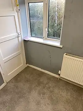 harleybarker online show from 10/30/25, 07:17