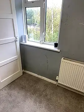 harleybarker online show from 10/29/25, 11:31