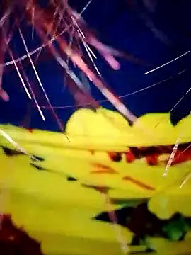 DarkLoverVI online show from 12/19/25, 02:48