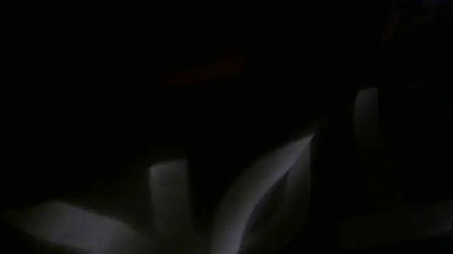 crassanova online show from 04/22/26, 12:34