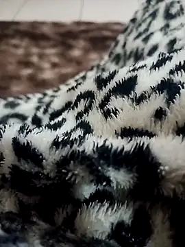 Gauderio40 online show from 11/21/25, 04:11