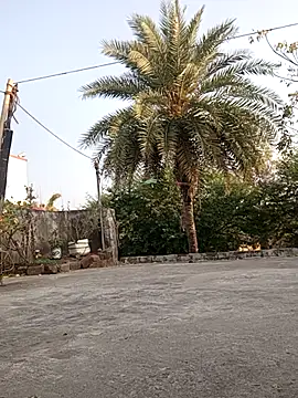 monu bhabi online show from 02/10/26, 02:54