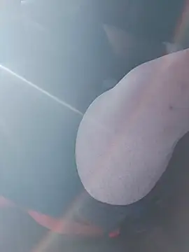 big teddy98 online show from 01/07/26, 02:55