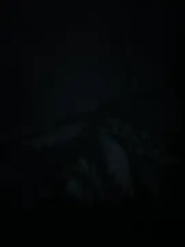 xxminou online show from 07/02/26, 02:34