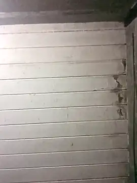 Snapshot of NegroArg_22 chatting on 10/02/25, 09:51 NegroArg 22 online show from 10/02/25, 09:51