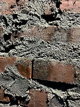 O o UwU o O online show from 11/08/25, 02:37