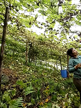 ngan-cute online show from 07/20/26, 12:40