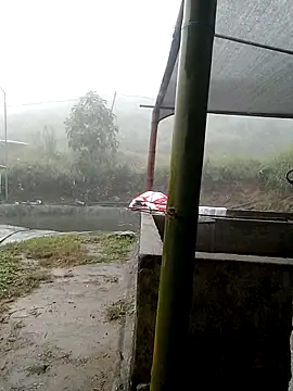 Snapshot of ngan-cute chatting on 11/02/25, 04:17 ngan-cute online show from 11/02/25, 04:17