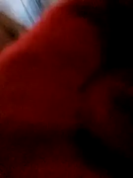 Snapshot of bing-bing88 chatting on 02/12/26, 01:55 bing-bing88 online show from 02/12/26, 01:55