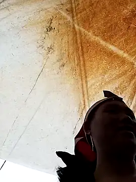 Snapshot of bing-bing88 chatting on 02/20/26, 03:25 bing-bing88 online show from 02/20/26, 03:25